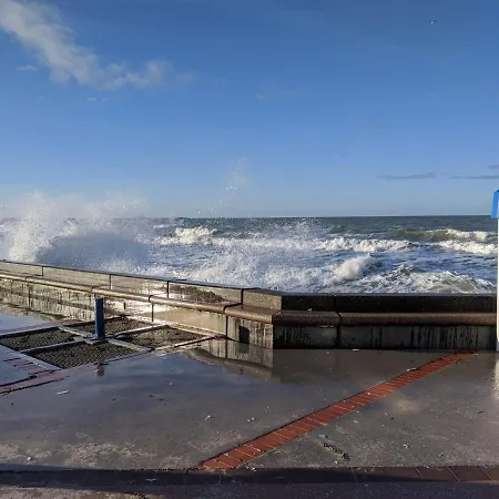 Sea View - Vue - Proche Commerces - Nausicaa