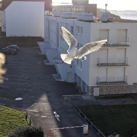 Sea View - Vue - Proche Commerces - Nausicaa Wimereux